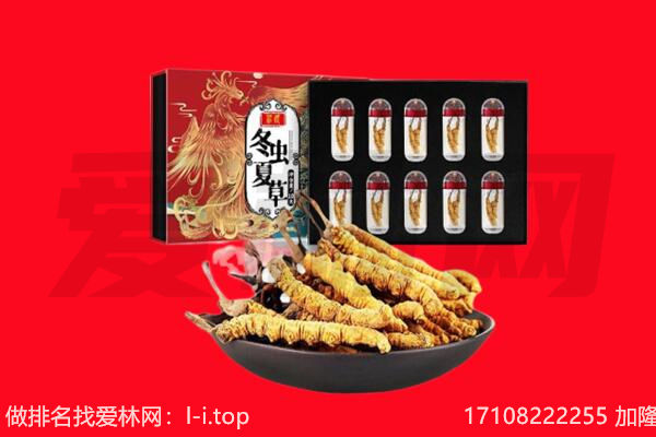 成都市崇州回收虫草.jpg